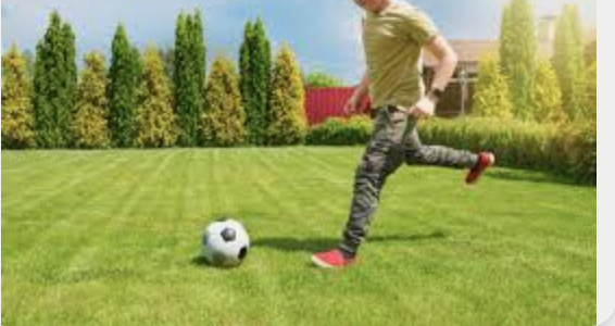 Sports